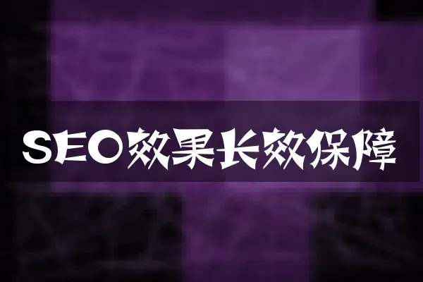 SEO效果长效保障